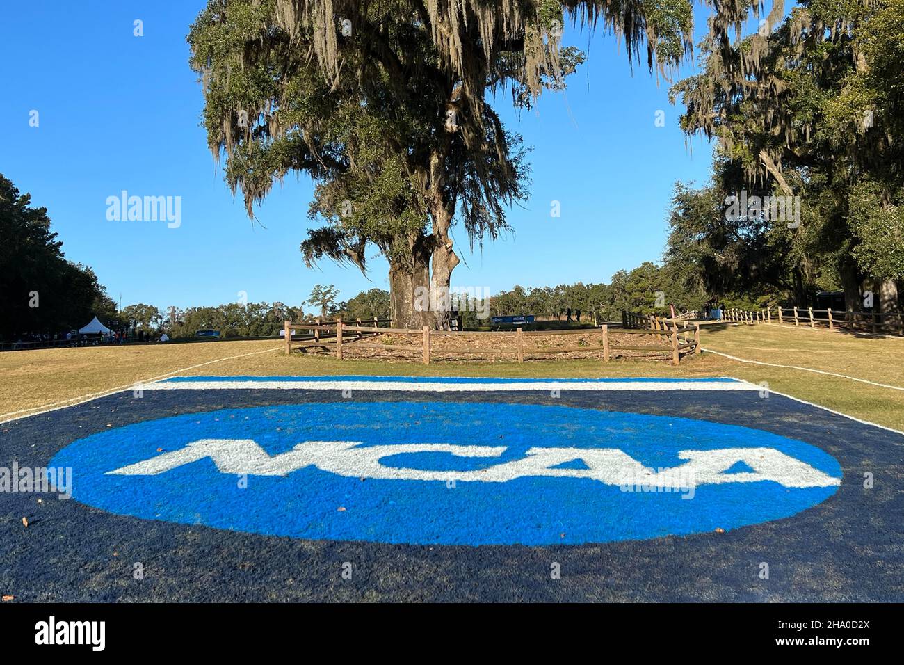 Un logo de la NCAA est visible aux championnats de cross-country de la NCAA au parc régional d'Apalachee, le samedi 20 novembre, à Tallahassee, en Floride Banque D'Images
