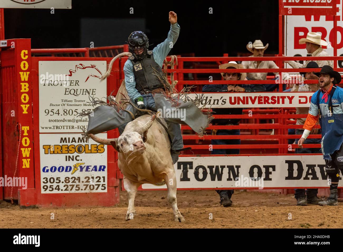 Bull Riding vu sur le circuit Southeastern finals Rodeo pendant l'événement. Banque D'Images