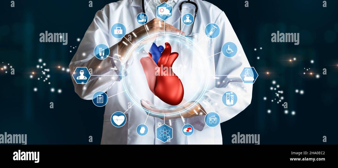 Médecin ayant un cœur humain de 3D comme concept de santé, d'assurance médicale et de statut personnel.Supports mixtes.Technologie médicale et innovation c Banque D'Images