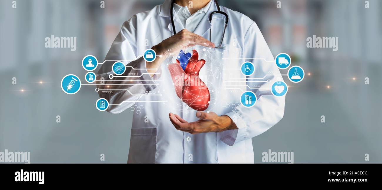 Médecin ayant un cœur humain de 3D comme concept de santé, d'assurance médicale et de statut personnel.Supports mixtes.Technologie médicale et innovation c Banque D'Images