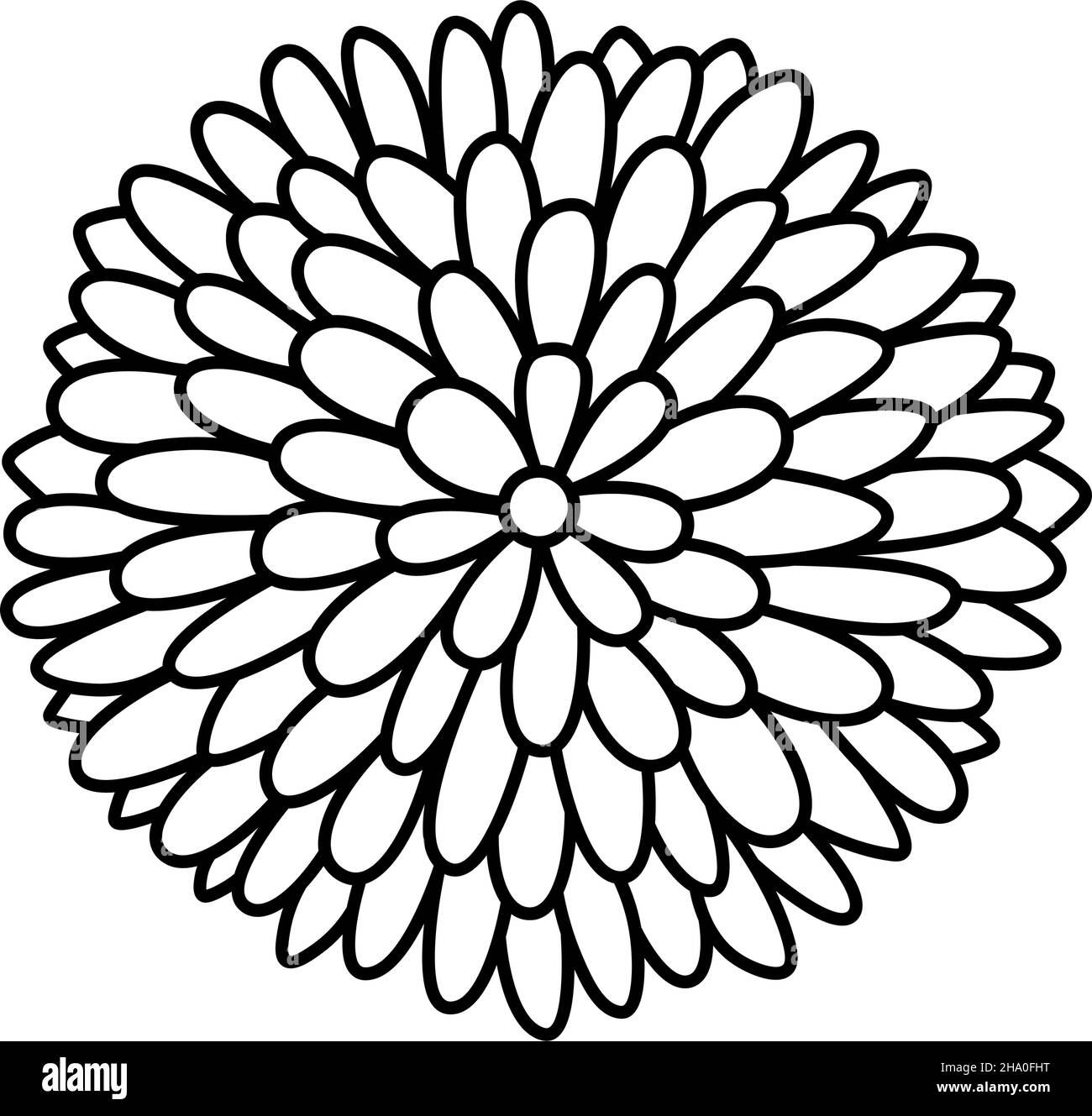 Bourgeon fleuri d'aster et de chrysanthème.Livre de coloriage.Fleur de jardin.Illustration vectorielle de style doodle isolée en arrière-plan. Illustration de Vecteur