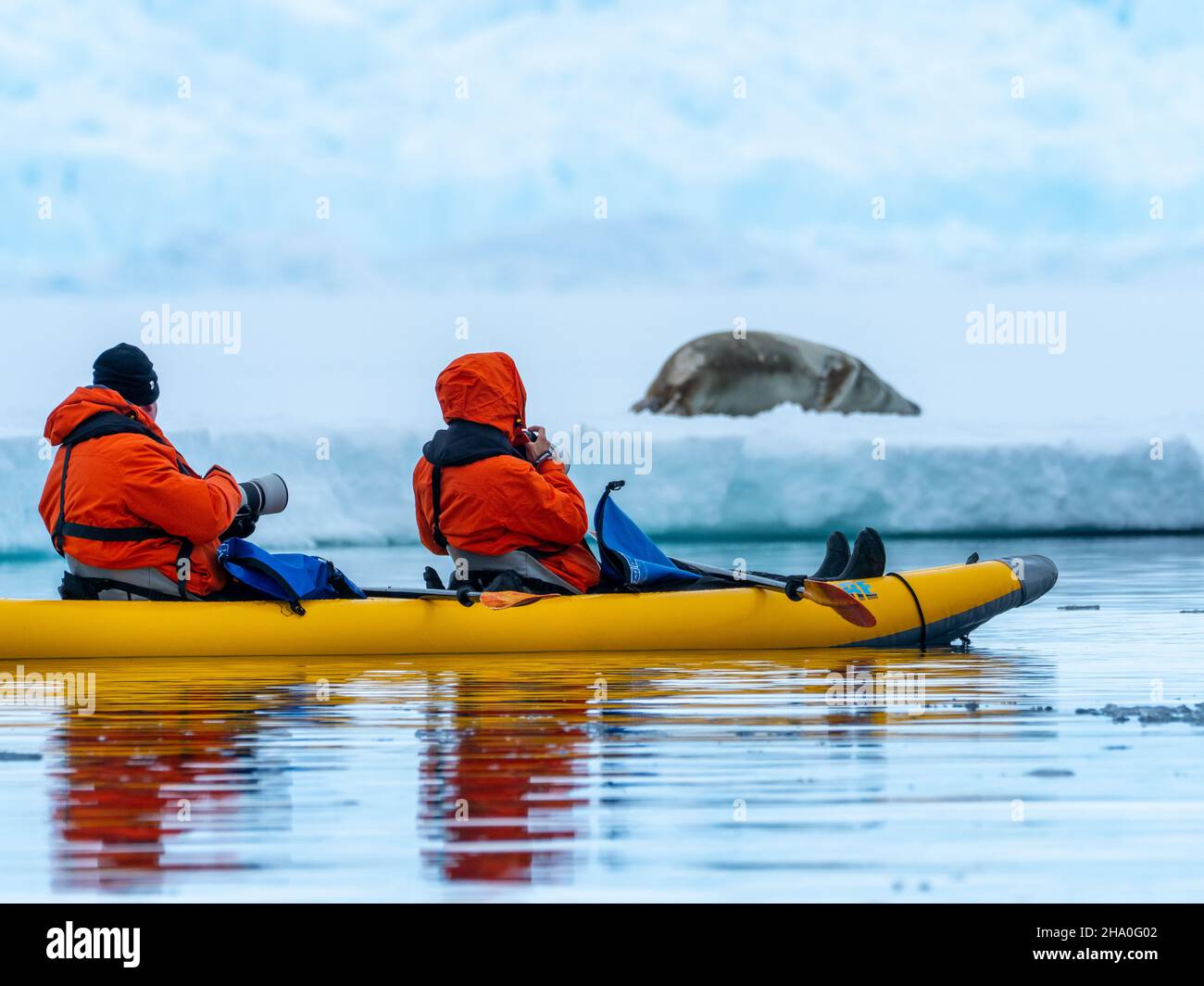 Kayak de mer dans la baie de Wilhelmina le long de la péninsule antarctique Banque D'Images