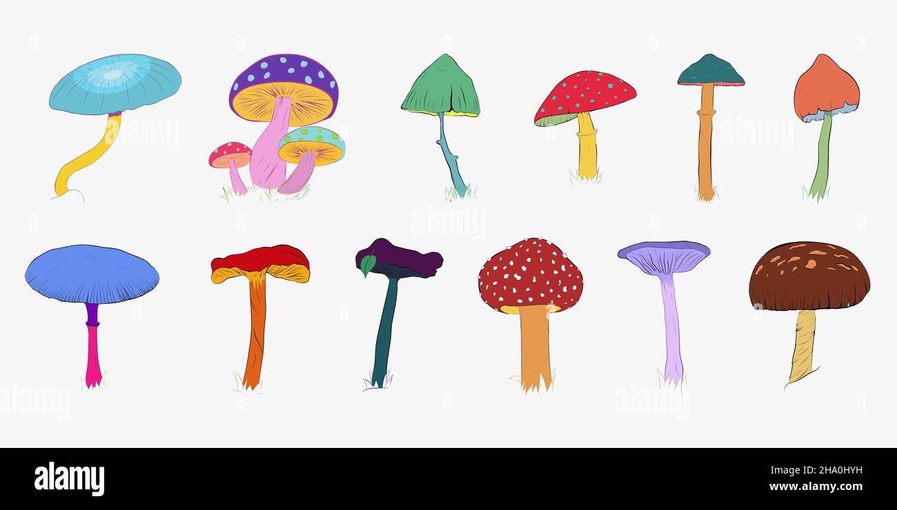 Un ensemble de différents champignons dessinés à la main. Illustration de Vecteur