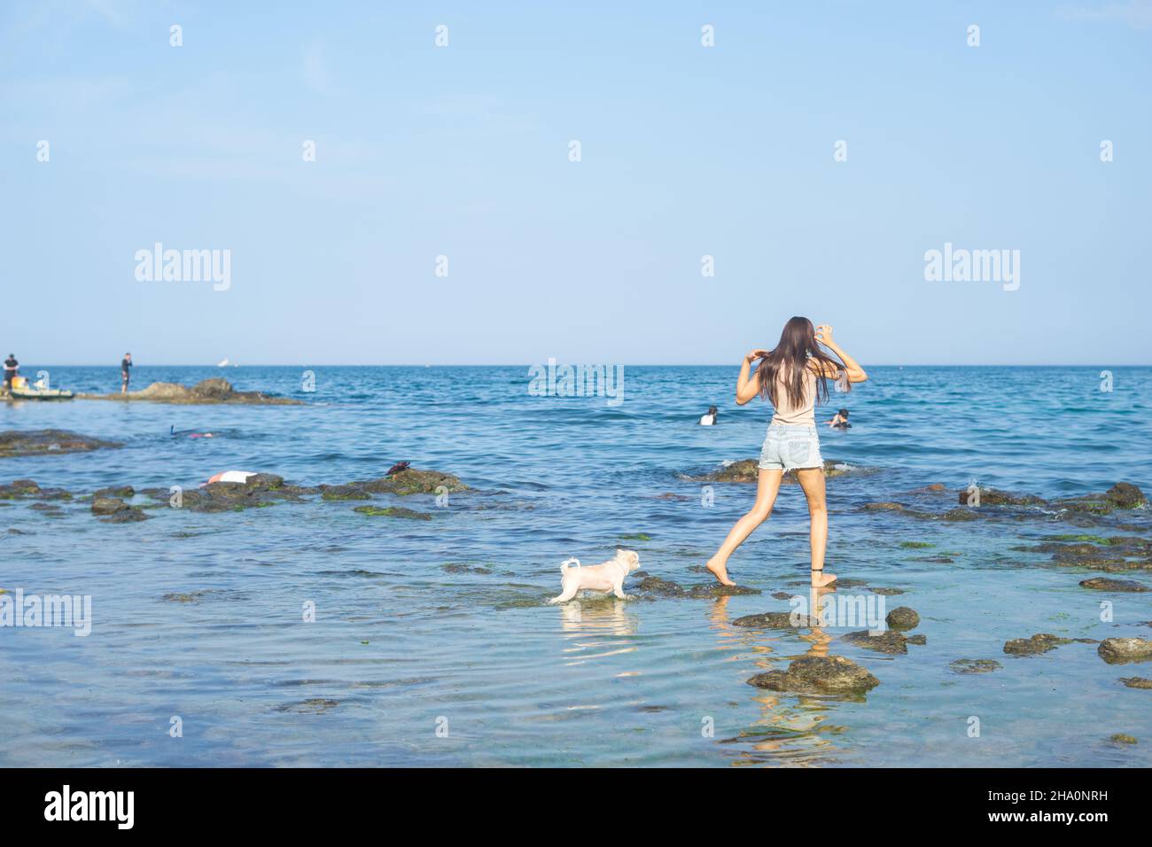 Jouer avec des chiens dans la mer Banque D'Images