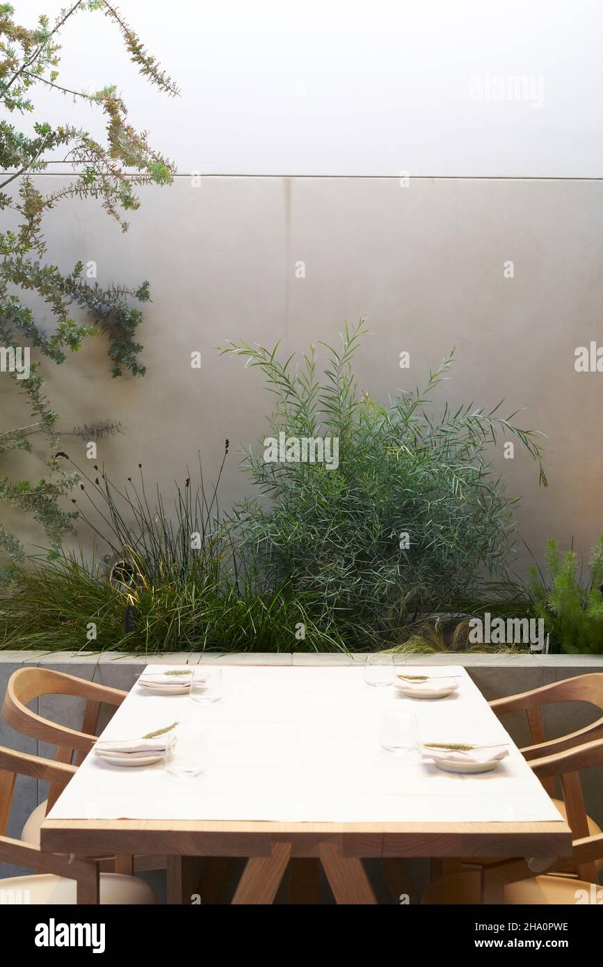 Belle table à manger moderne avec des plantes derrière et mur de ciment Banque D'Images