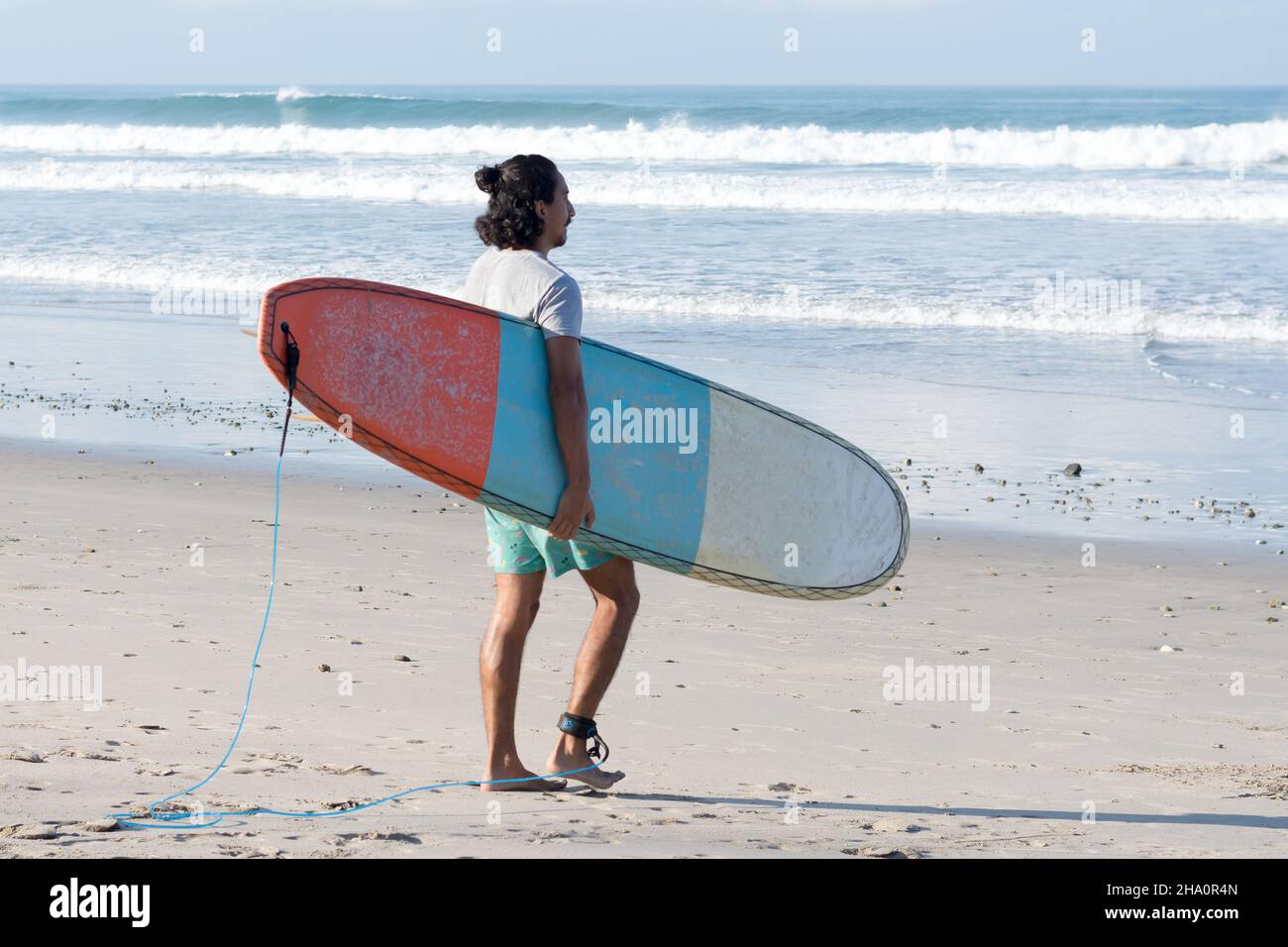 Vue arrière de l'homme exerçant son surf tout en marchant sur le rivage à Beach Banque D'Images