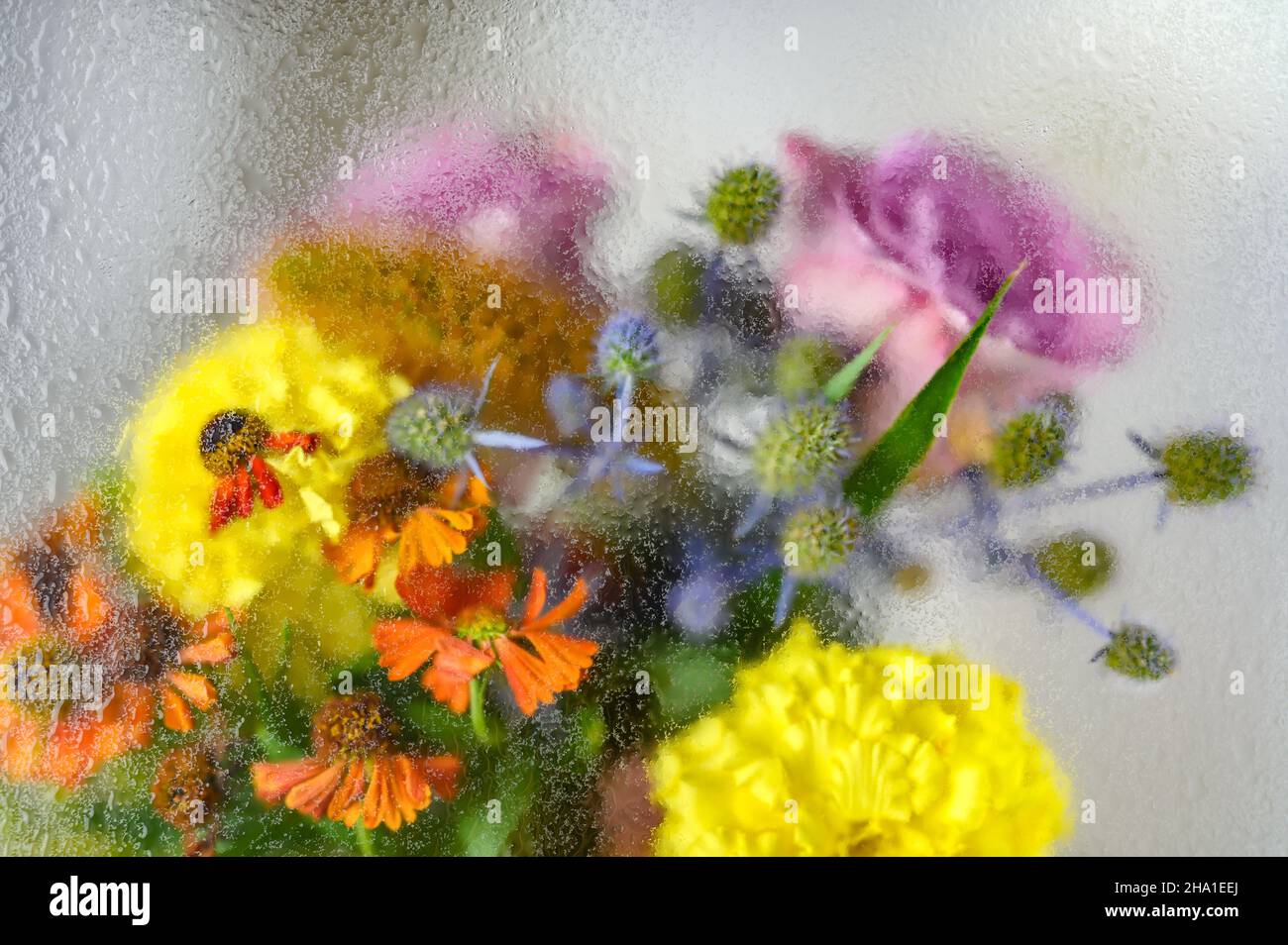 Arrière-plan abstrait bouquet de fleurs sous gouttes d'eau Banque D'Images
