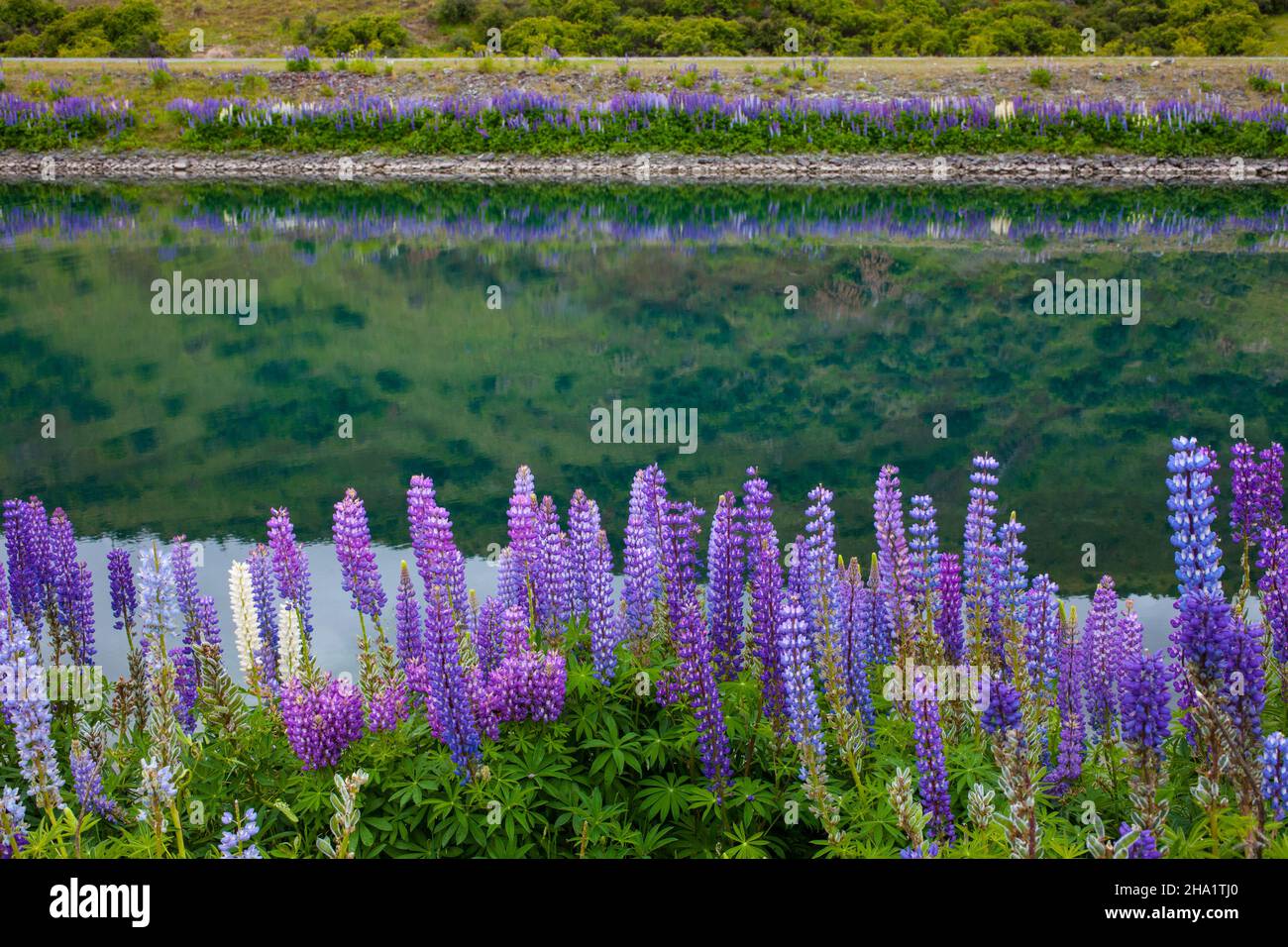 Magnifique paysage autour de Twizel, Île du Sud, Nouvelle-Zélande Banque D'Images