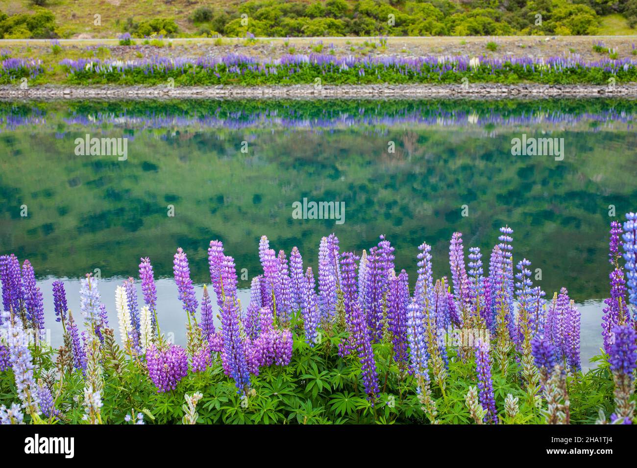 Magnifique paysage autour de Twizel, Île du Sud, Nouvelle-Zélande Banque D'Images