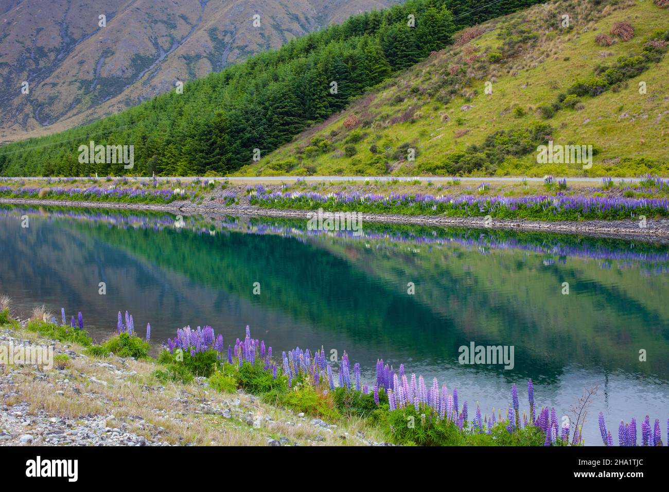 Magnifique paysage autour de Twizel, Île du Sud, Nouvelle-Zélande Banque D'Images