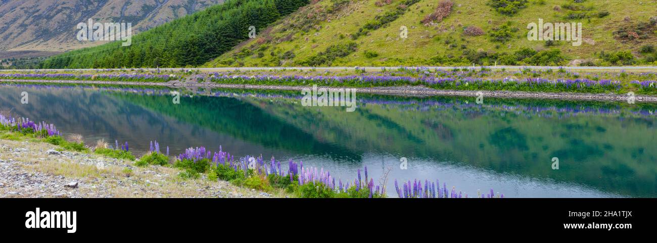 Magnifique paysage autour de Twizel, Île du Sud, Nouvelle-Zélande Banque D'Images