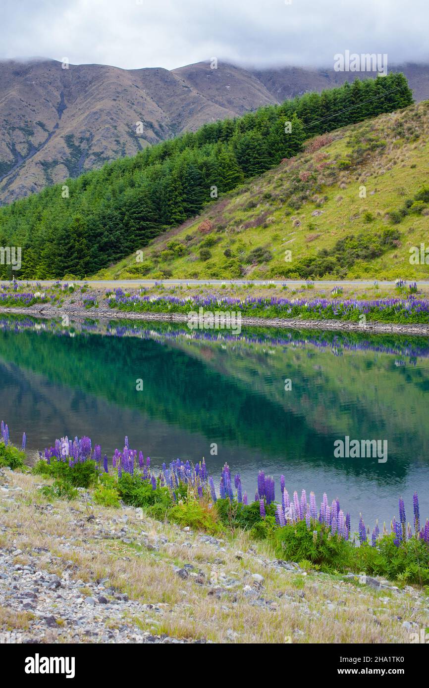 Magnifique paysage autour de Twizel, Île du Sud, Nouvelle-Zélande Banque D'Images