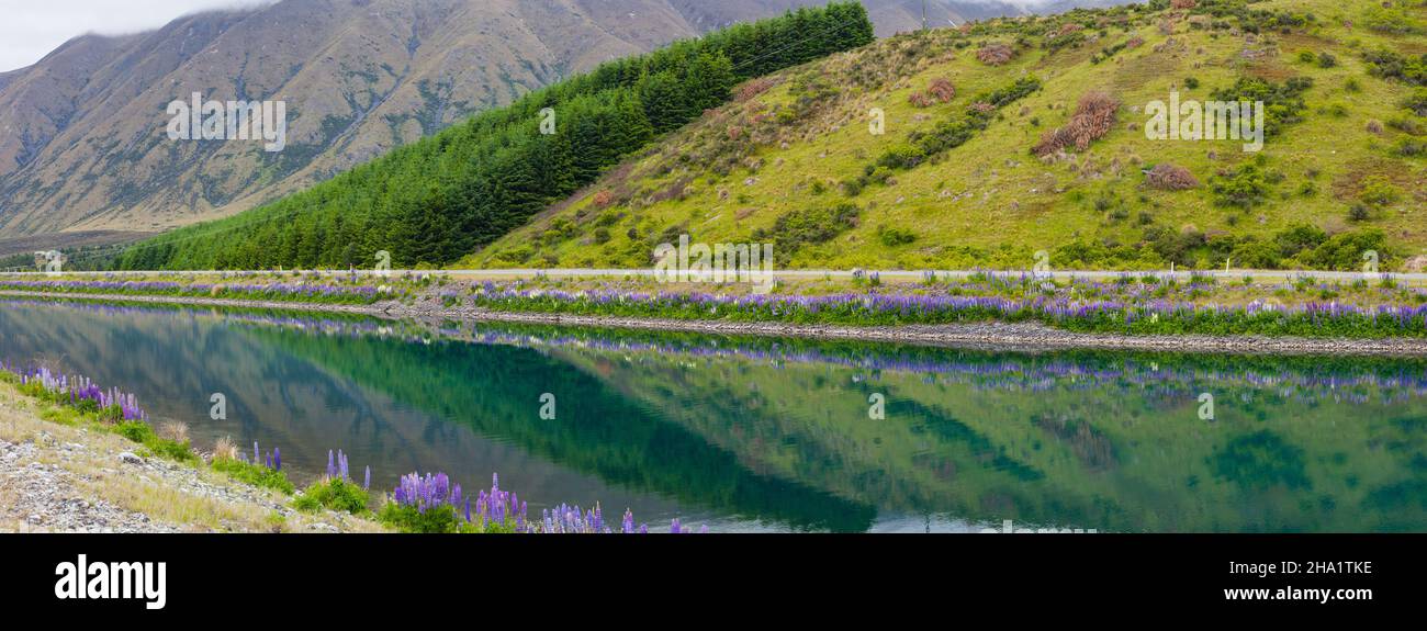 Magnifique paysage autour de Twizel, Île du Sud, Nouvelle-Zélande Banque D'Images