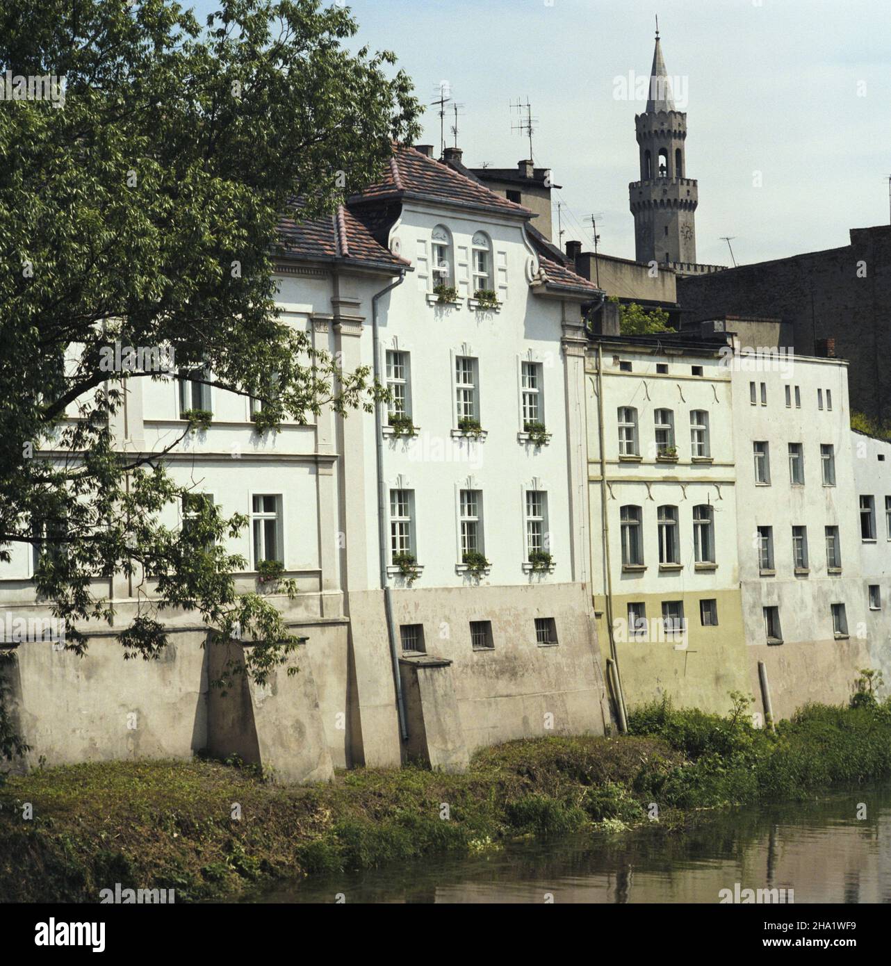 Opole 06.1984.Kamienice nad M³ynówk¹ (stare koryto Odry), widok od pó³nocy.W g³êbi wie¿a ratusza miejskiego. Js PAP/Wojciech Kryñski Dok³adny dzieñ wydarzenia nieustalony.Opole, juin 1984.Maisons de tenement sur la rivière Mlynowka (l'ancien canal de la rivière Odra), une vue du nord.En arrière-plan, une tour de la mairie. Js PAP/Wojciech Krynski Event Day unknown Banque D'Images