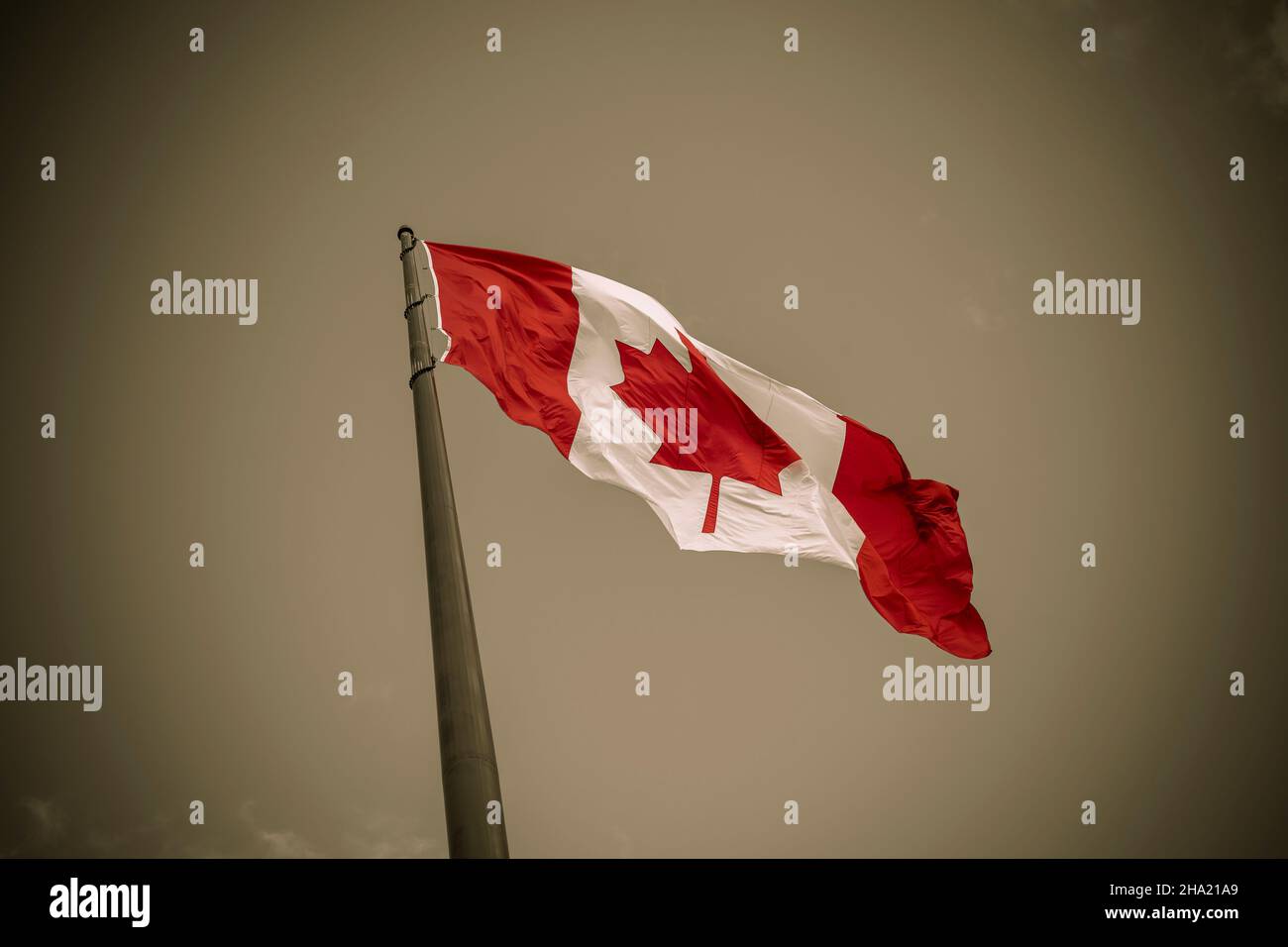 Brandir le drapeau canadien sur le vent Banque D'Images