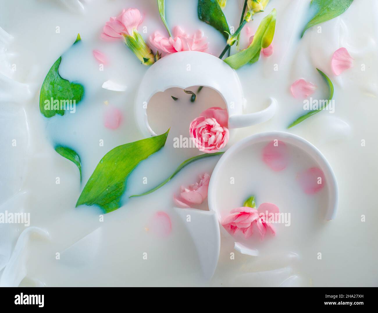 Coupes de porcelaine brisées et fleurs dans le lait, carte postale tendre Banque D'Images