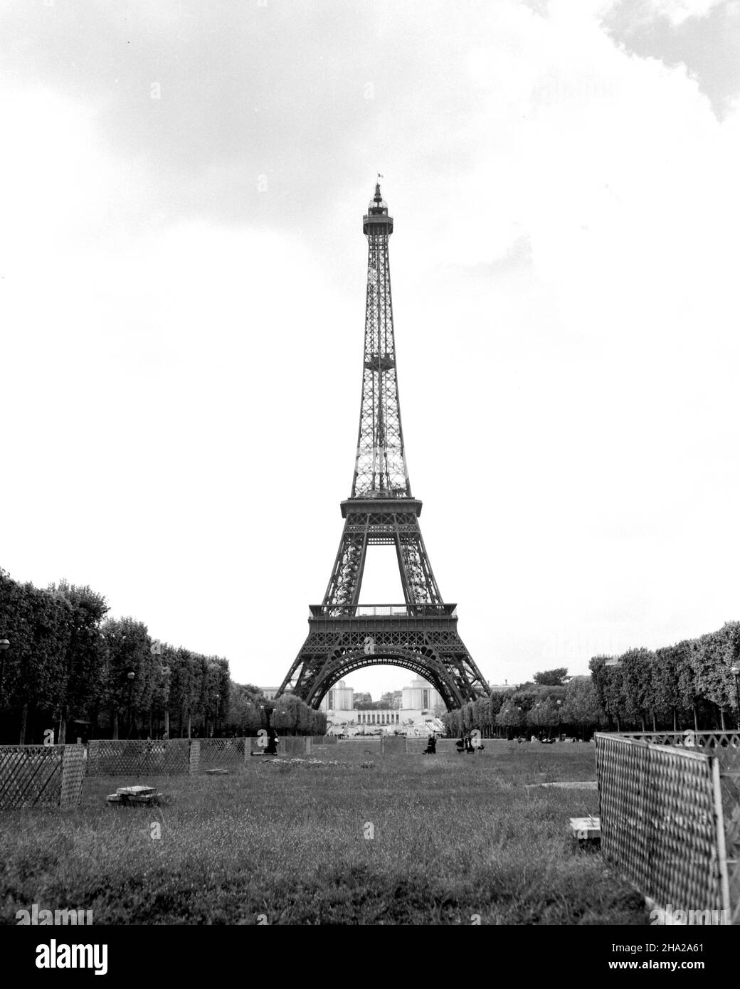 Vue en hauteur de la Tour Eiffel prise du champ de Mars.La position de la caméra est dans le parc herbeux avec une vue centrée vers le nord-ouest de la tour et au-delà.Au premier plan, il y a de l'herbe épaisse et des taches de fleurs.Il y a des sections dispersées de clôture en treillis debout et très peu d'utilisateurs de parc entre la caméra et la tour elle-même.Un drapeau de la France souffle à droite d'un poteau au sommet de la tour.Les arbres dans le feuillage apparent du printemps sont alignés des deux côtés de la photo.Le Palais de Chaillot est clairement visible au loin à travers les pieds de la tour. Banque D'Images