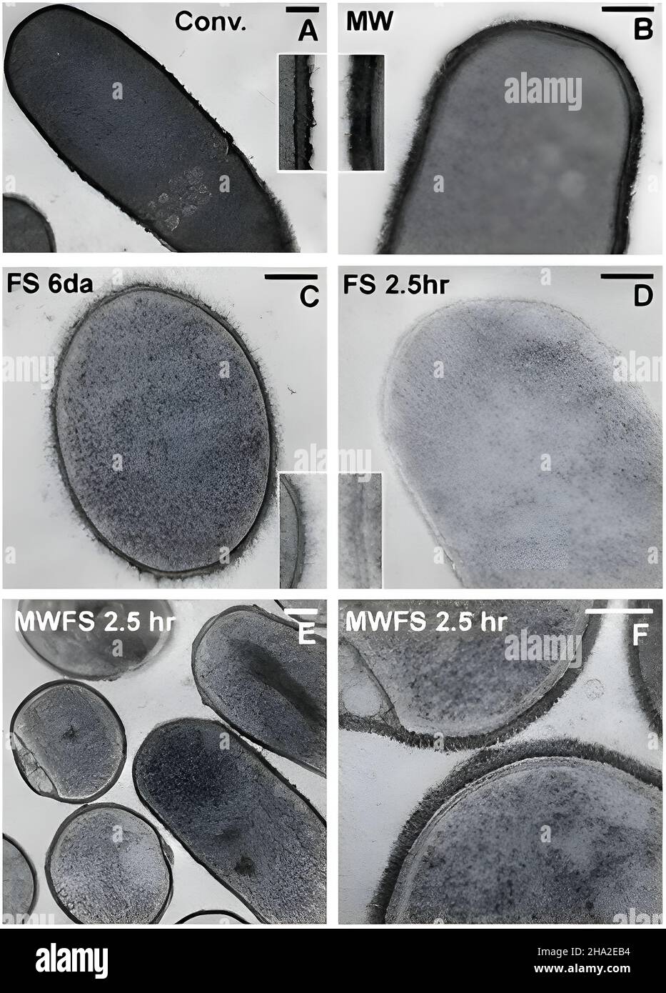 Comparaison de la température ambiante et des méthodes cryogéniques Banque D'Images