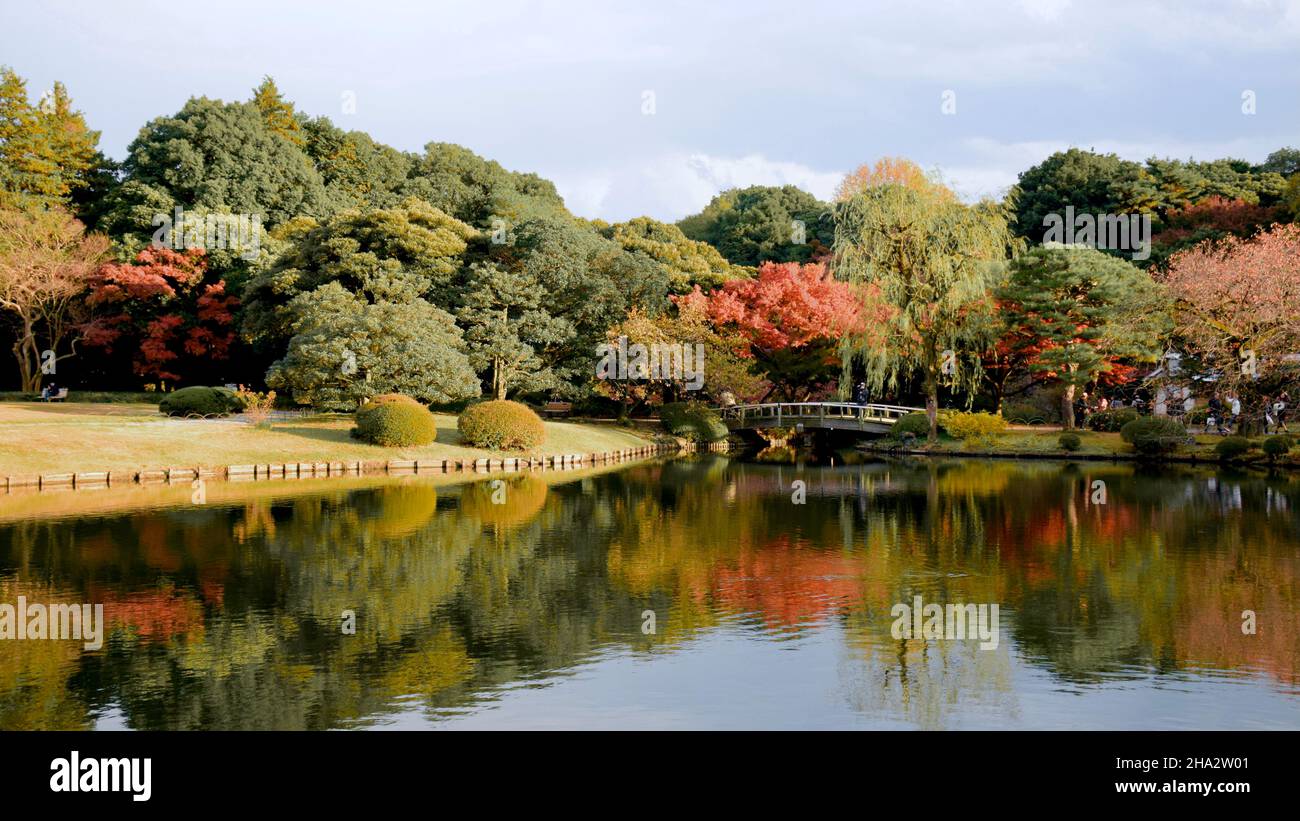 Les feuilles d'automne changement de couleur Banque D'Images