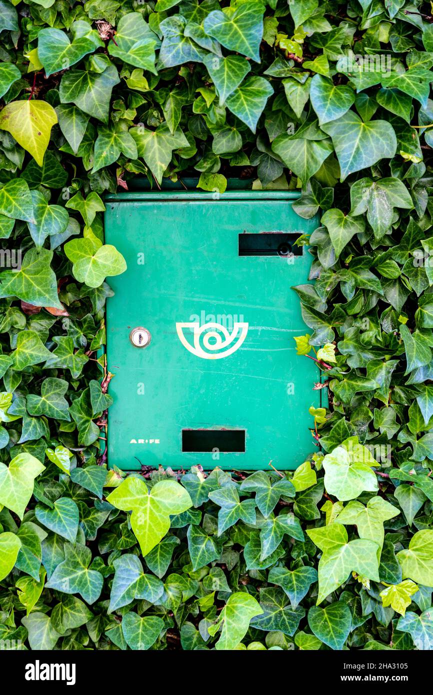 Boîte postale verte entourée de lierre dans la banlieue résidentielle El Terreno, Plama, Mallorca, Espagne Banque D'Images