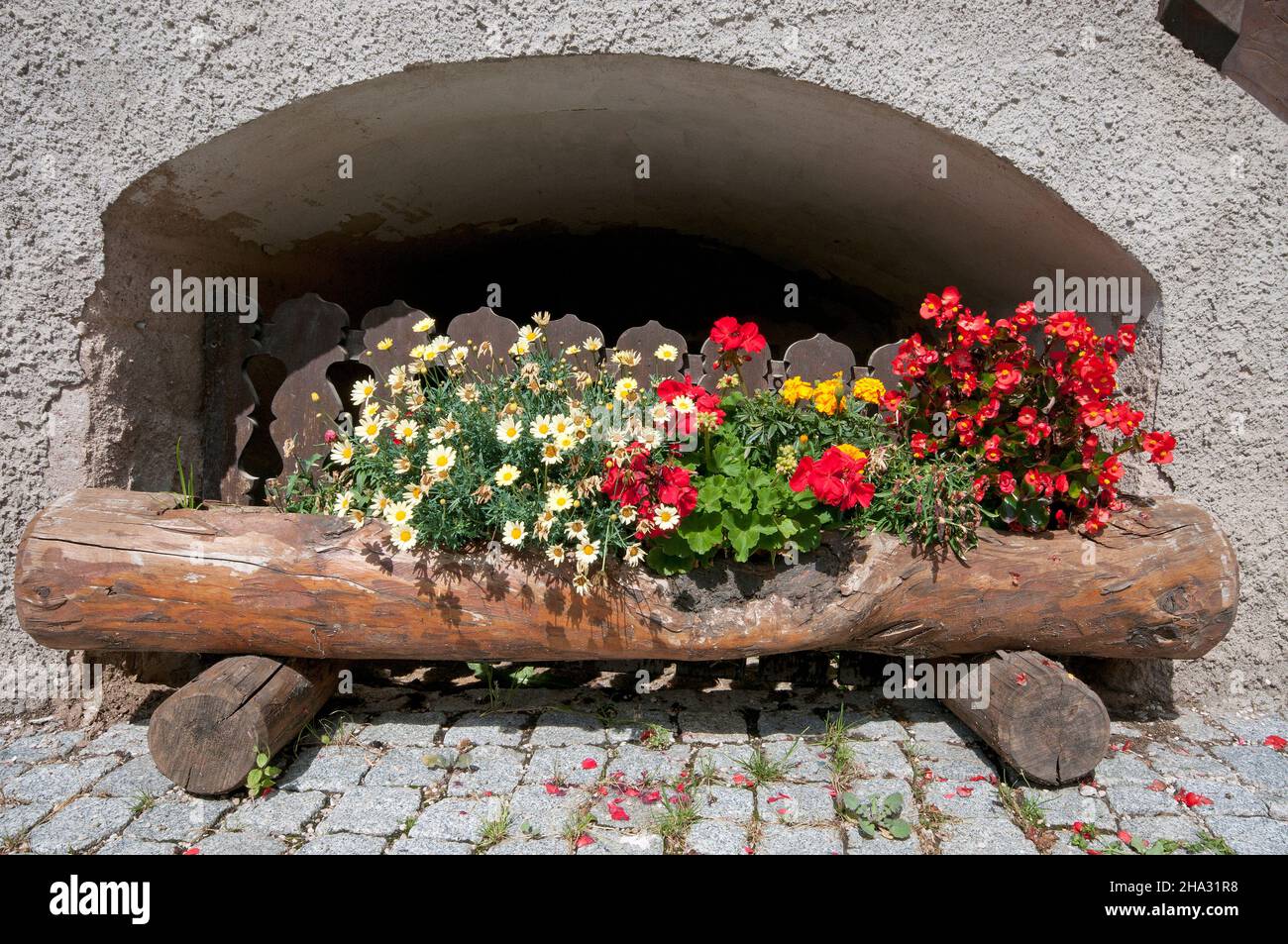 Belles fleurs dans un renfoncement dans le mur, Canazei, Vallée de Fassa, Trento, Trentin-Haut-Adige,Italie Banque D'Images