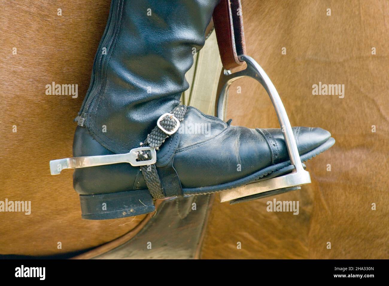 éperon de bottes et étrier d'un cavalier à hickstead west sussex Photo  Stock - Alamy