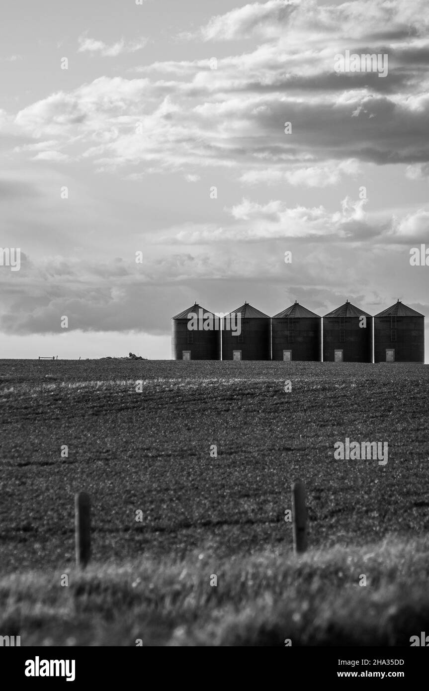 AIRDRIE, CANADA - 17 novembre 2021 : une vue en échelle de gris des paysages ruraux d'Airdrie, Canada Banque D'Images