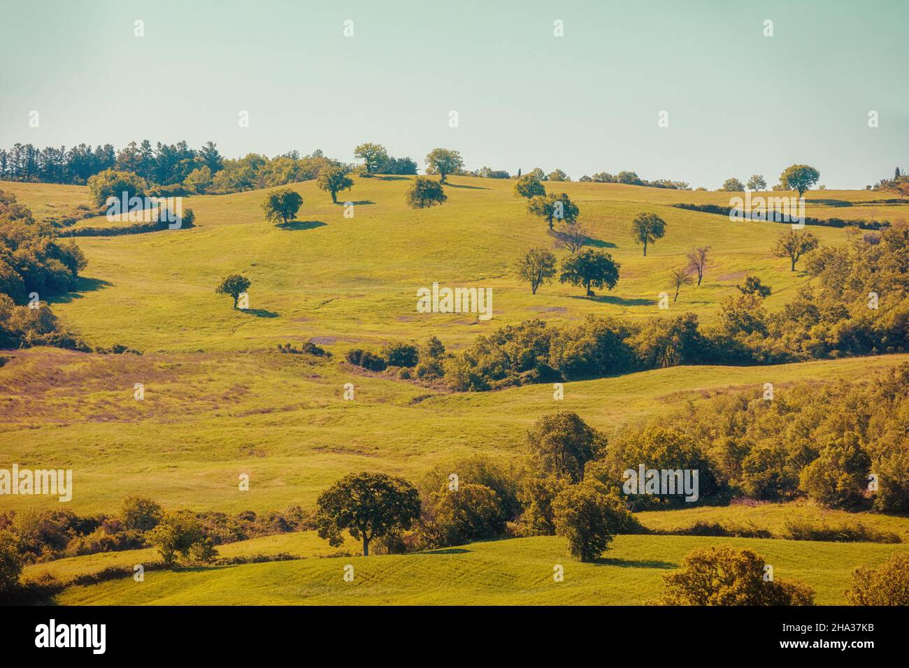 Paysage magnifique, nature printanière.Paysage de montagne.Vue sur les champs ensoleillés sur les collines vallonnées de Toscane, Italie Banque D'Images