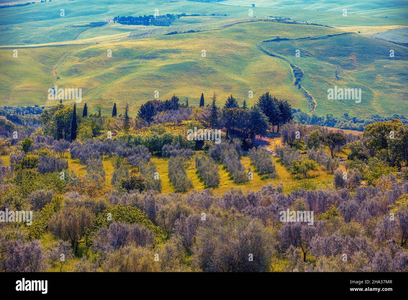 Paysage magnifique, nature printanière.Paysage de montagne.Vue sur les champs ensoleillés sur les collines vallonnées de Toscane, Italie Banque D'Images
