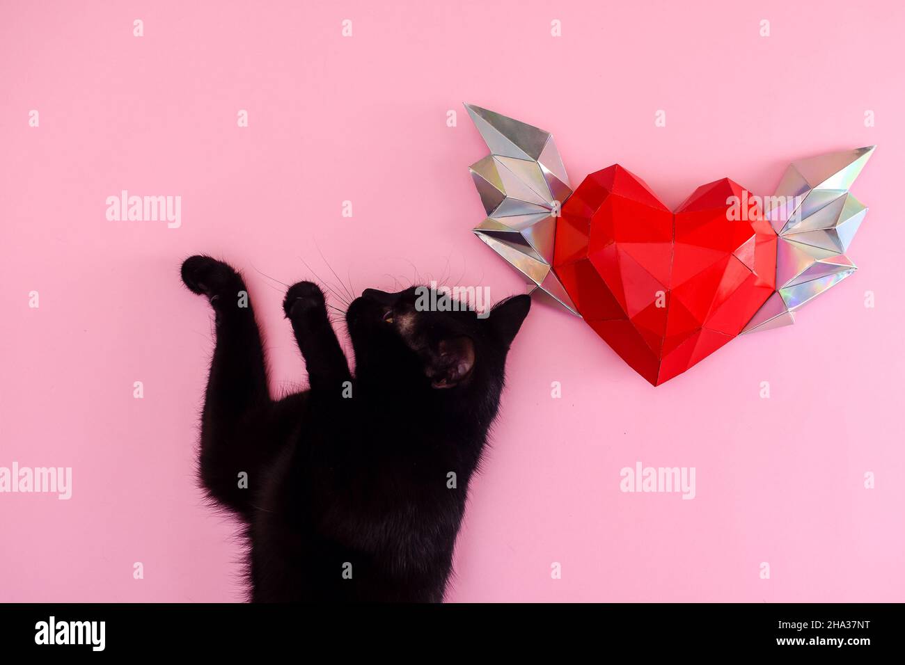 Chat noir.Coeur polygonal rouge avec ailes. Mise en page. Banque D'Images