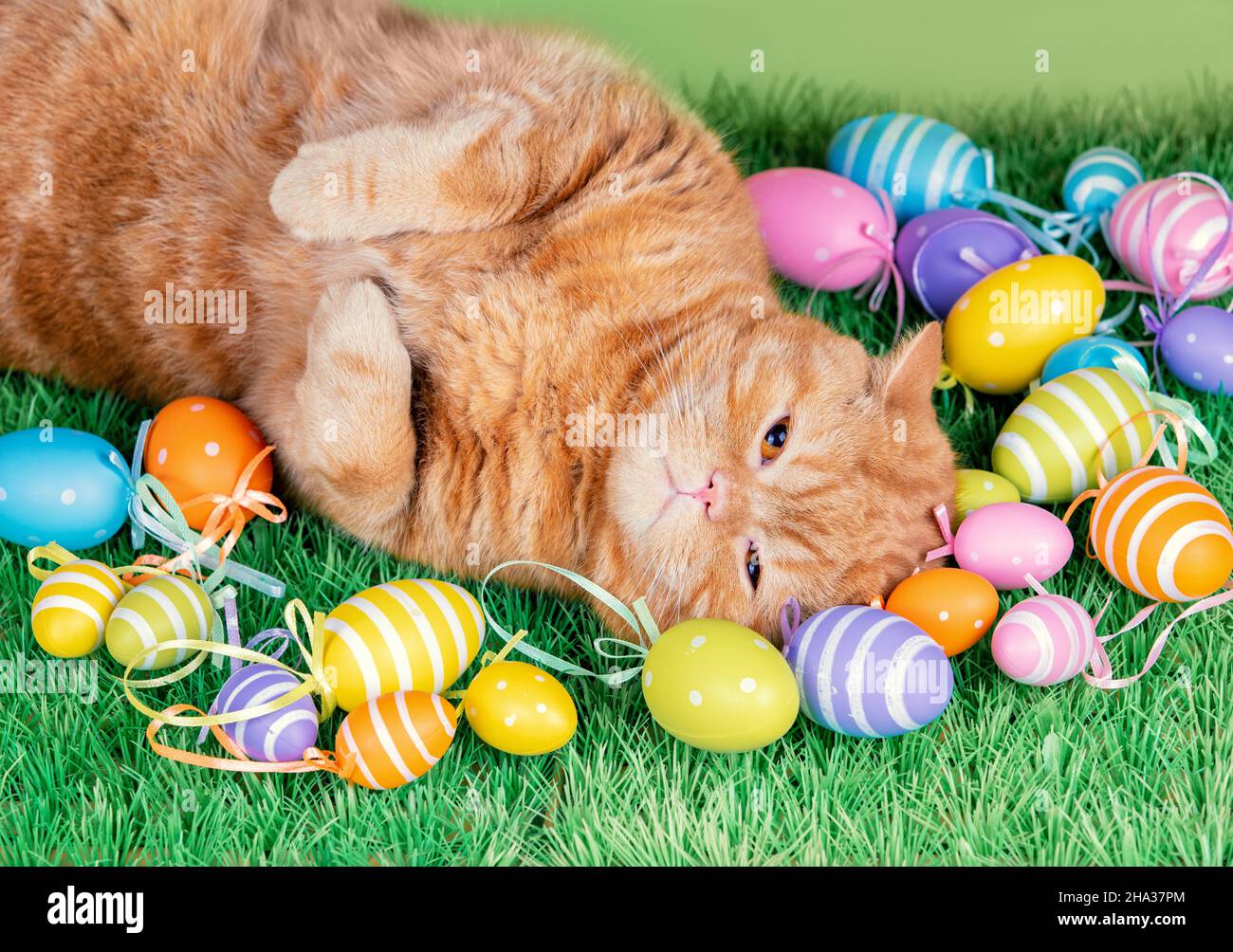 Un chat de gingembre drôle dormant sur gazon artificiel près des œufs de pâques colorés Banque D'Images