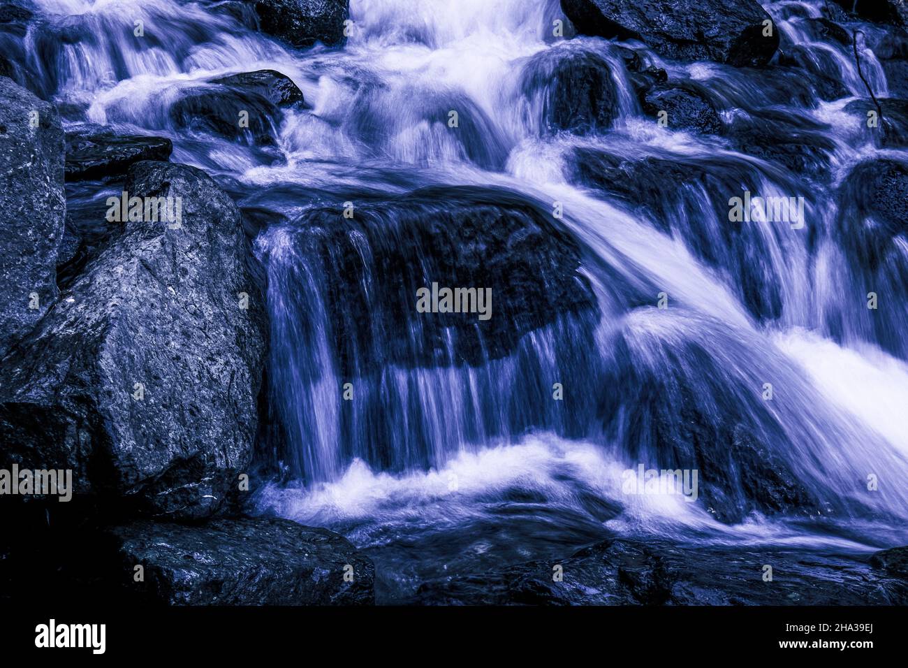 Couleur de l'année 2022 - très Peri.Photo de haute qualité Banque D'Images