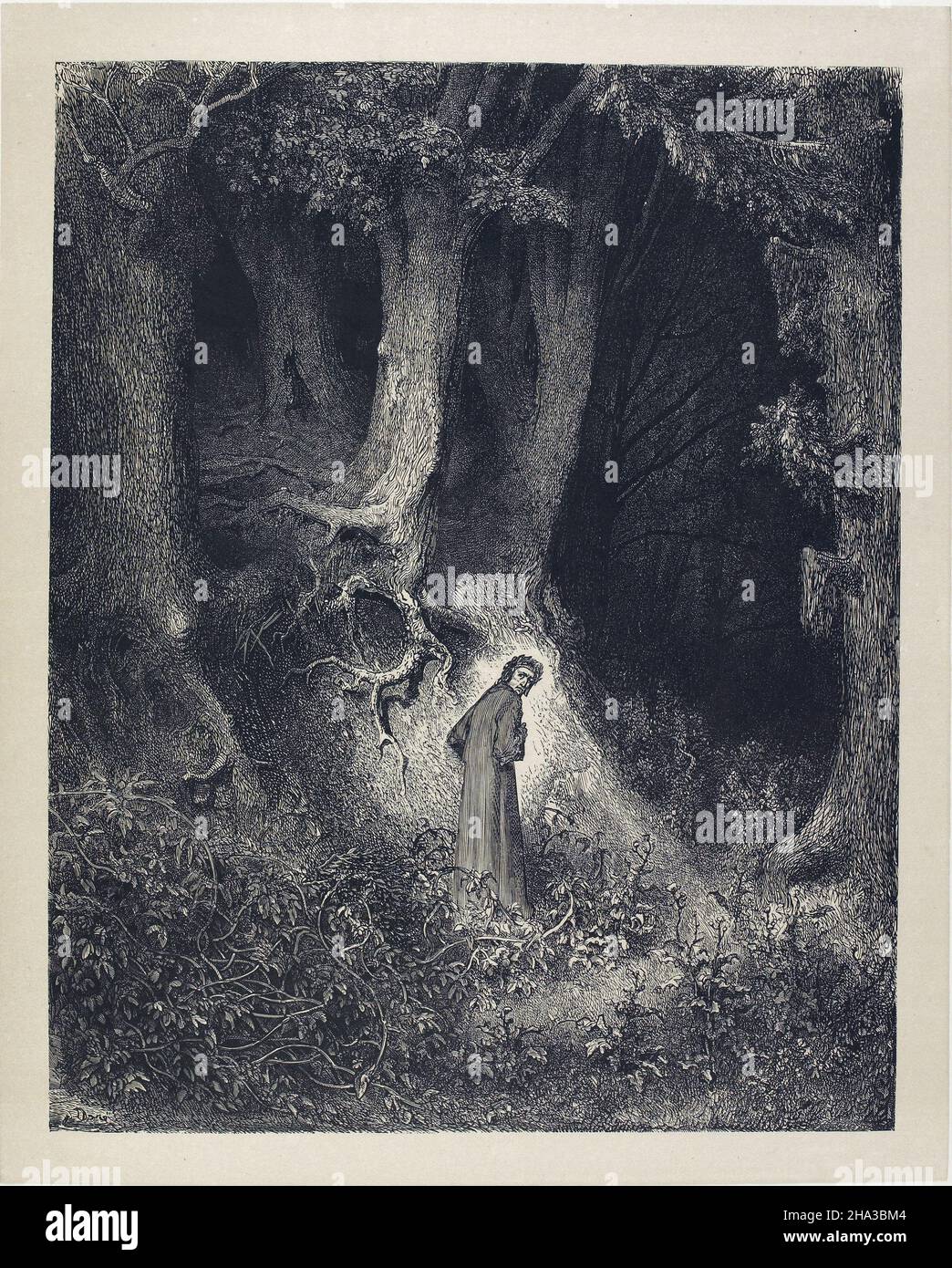 Gustave doré, Divine Comedy de Dante, Inferno, (Enfer) premier Canto, 1861-1868;Gravure, je me trouvais dans un bois sombre Banque D'Images
