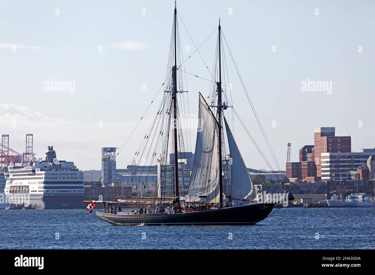 Bluenose II naviguant dans le port de Halifax, Nouvelle-Écosse, Canada. Banque D'Images