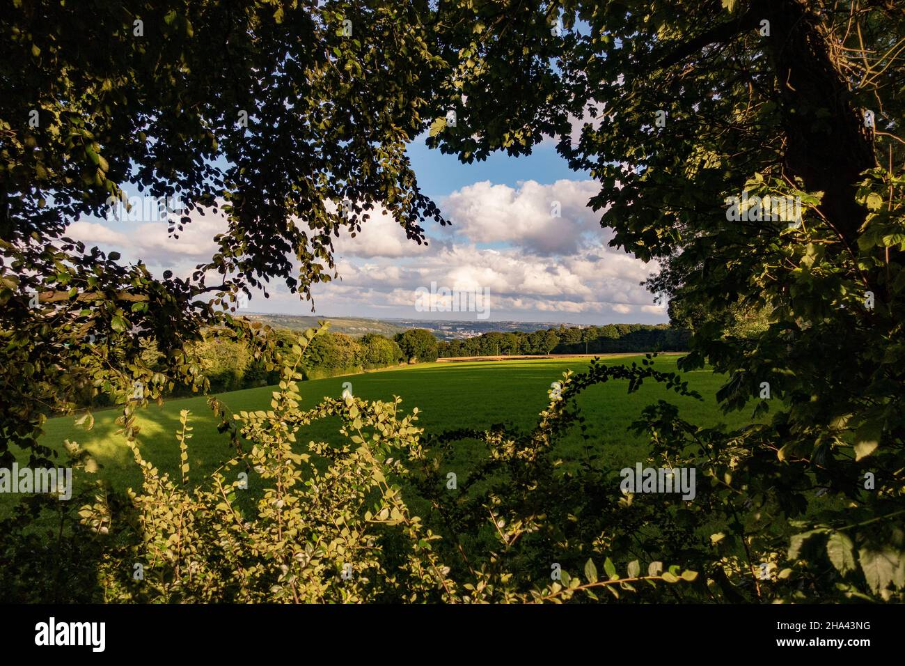Vue sur Sheffield Banque D'Images