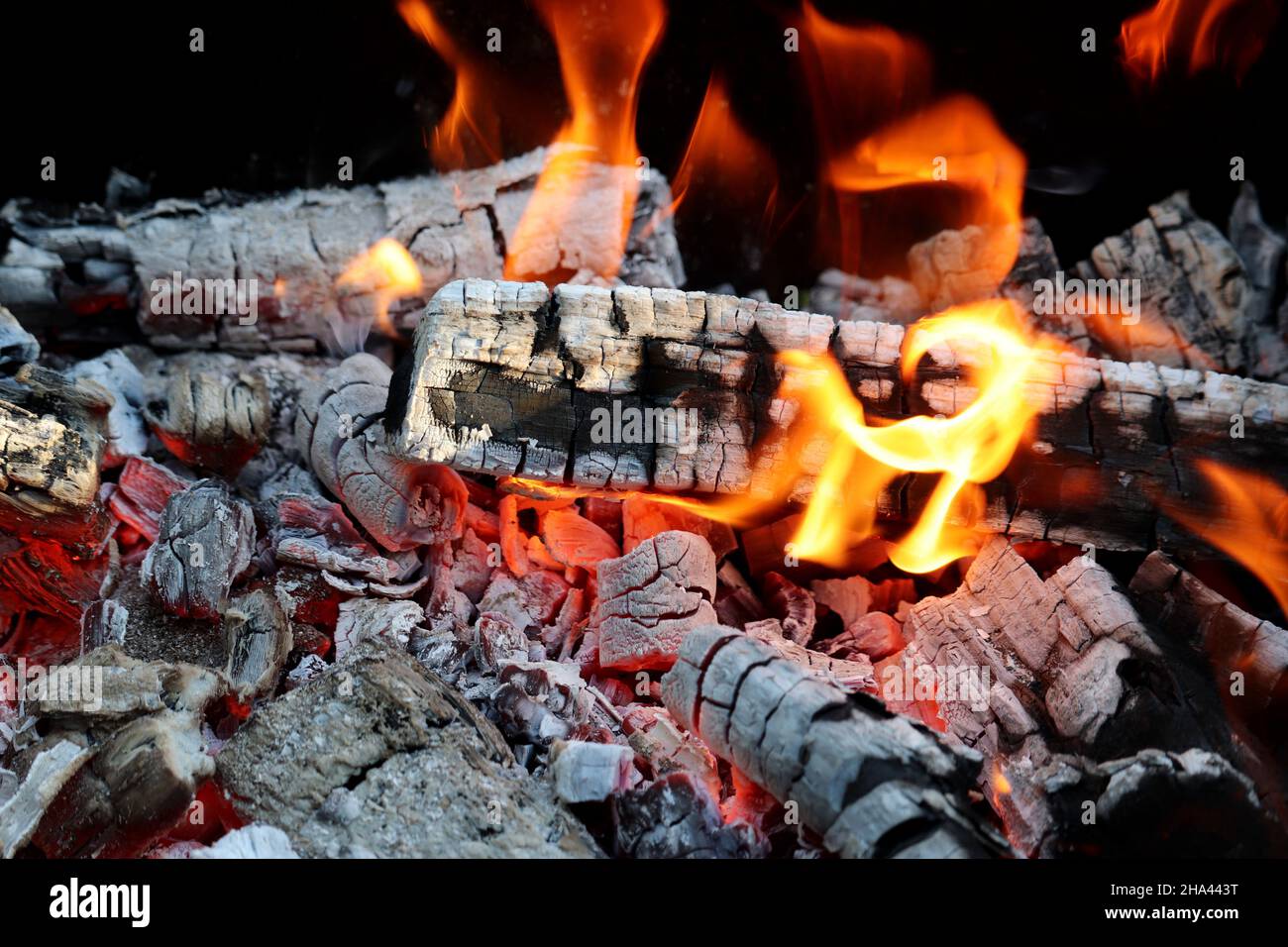 Feu ouvert, bûches de combustion. Concept de cuisine extérieure, cuisine de camp, pique-nique avec feu de camp Banque D'Images