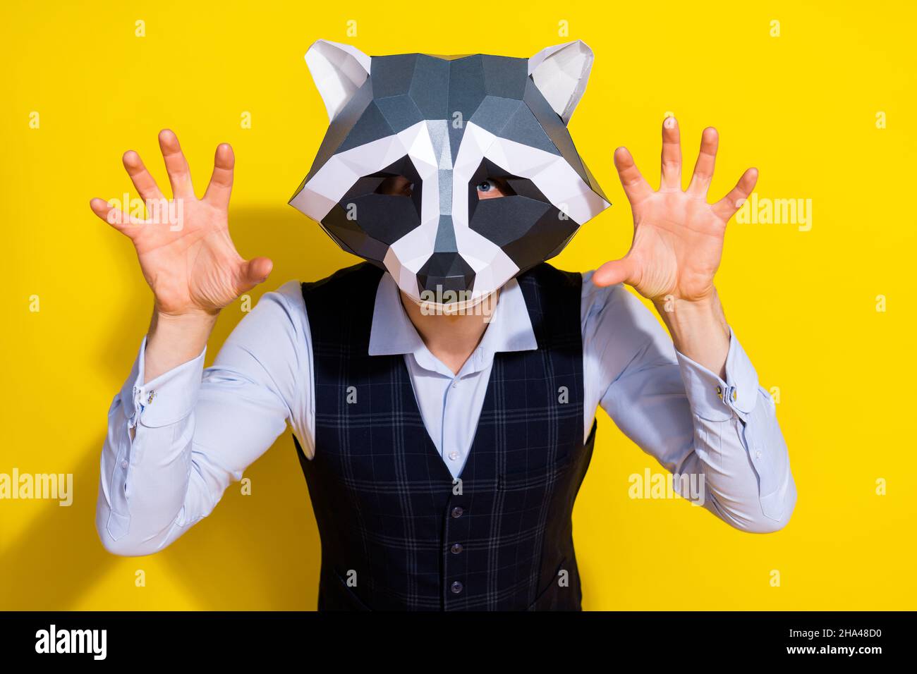 Photo de drôle de caractère sinistre montrer les griffes pattes porter raccoon masque polygonal gilet isolé couleur jaune arrière-plan Banque D'Images