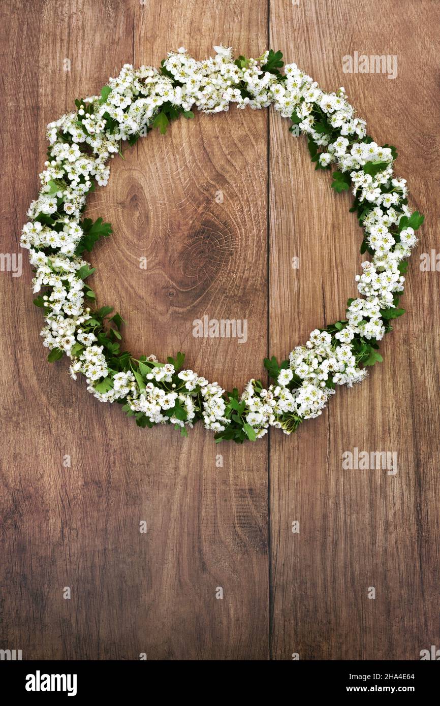 Couronne de fleur de printemps sur bois rustique.Fleurs et feuilles utilisées en phytothérapie naturelle pour traiter une variété de coeur et de tension artérielle. Banque D'Images