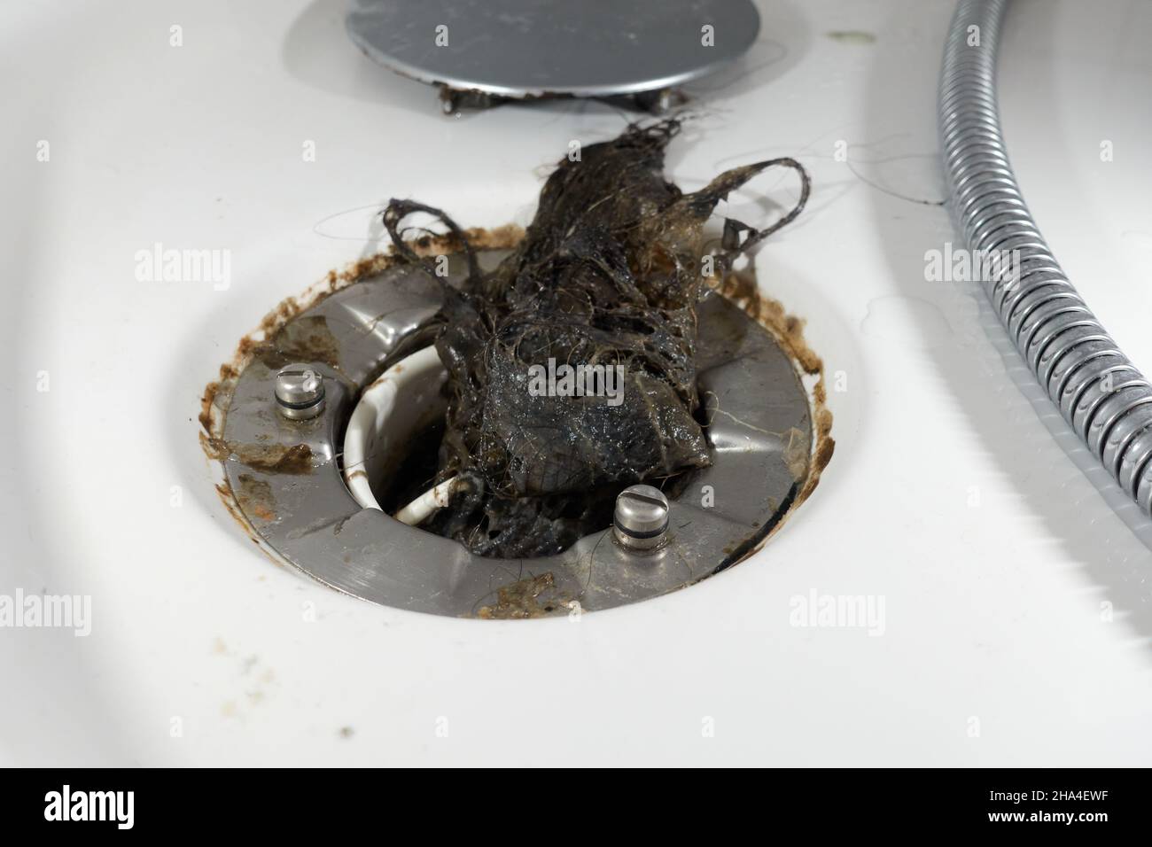 Cheveux dans le siphon d'évacuation de la douche.Flexible et orifice.De  nombreux poils ont provoqué un blocage des tuyaux et des dégâts d'eau Photo  Stock - Alamy