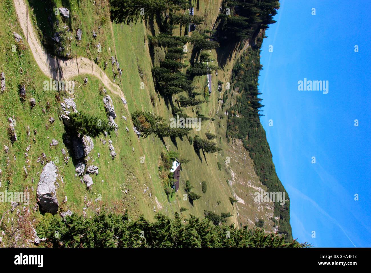 chemin vers les pâturages alpins sous le geigelstein (1808m), réserve naturelle, aschau im chiemgau, haute-bavière, bavière, allemagne Banque D'Images