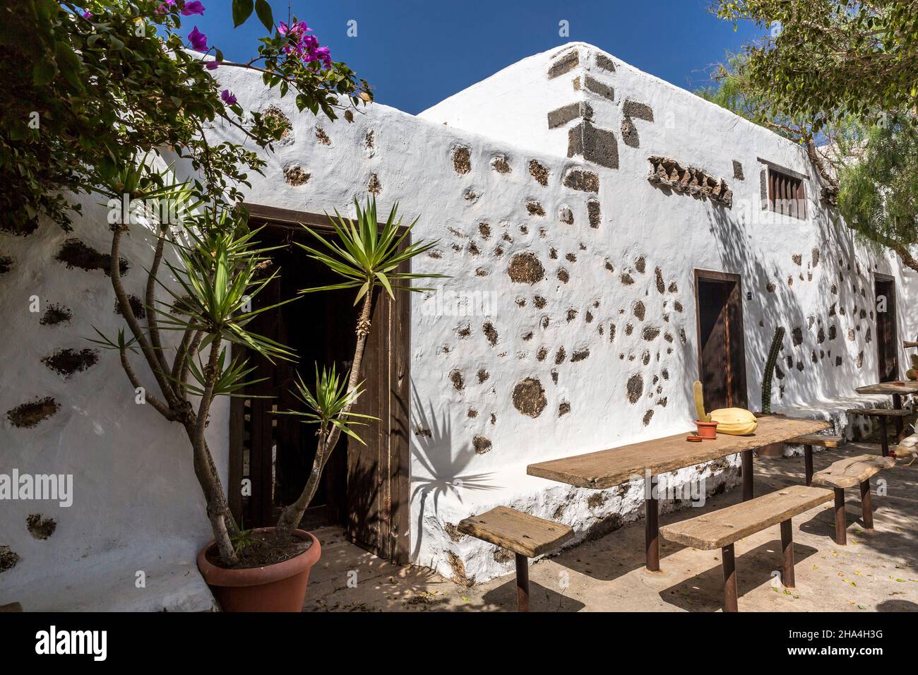 bodega, vente de vin et dégustation de vin, museo agricola el patio, musée en plein air, fondé en 1845, tiagua, lanzarote, îles canaries, espagne, europe Banque D'Images