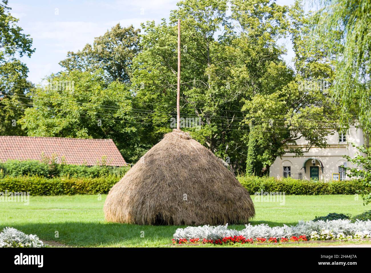 haystack dans la région de spreewald, état de brandebourg, allemagne Banque D'Images