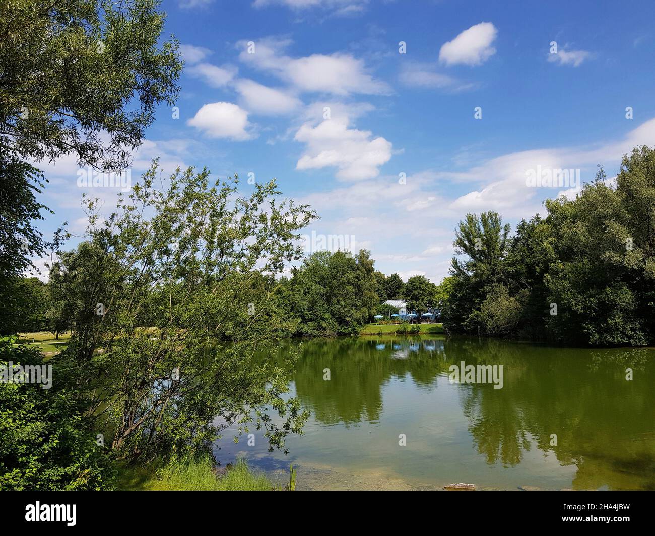 zamilapark à zarndorf / bogenhausen. conçu sur le plan de dessin, il surprend avec son naturel, petit lac au milieu du parc, vastes espaces verts, arbres luxuriants, jardin de bière sur le bord du lac. Banque D'Images