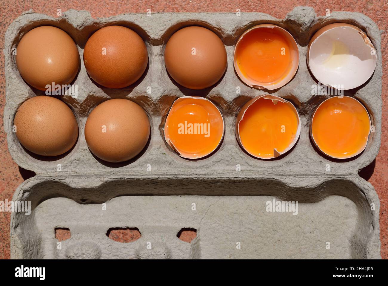 Dans une boîte à oeufs en carton il y a plusieurs oeufs, dont certains sont encore intacts et d'autres ouverts avec le jaune d'oeuf ou une coquille d'oeuf vide, photograp Banque D'Images