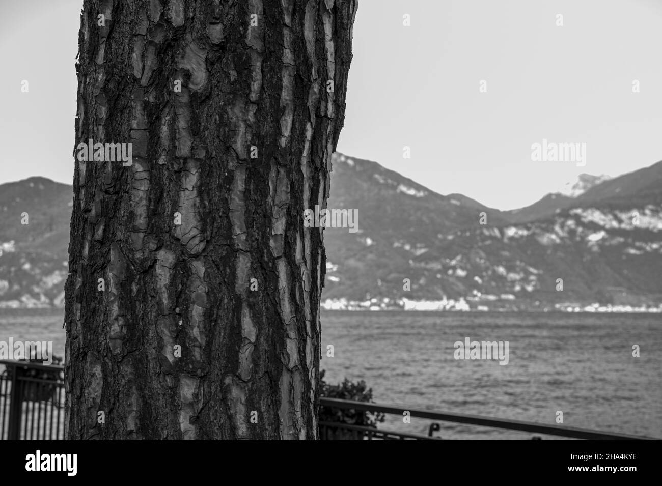 au lac de côme, en italie, à la promenade du lac menaggio, ville de menaggio Banque D'Images