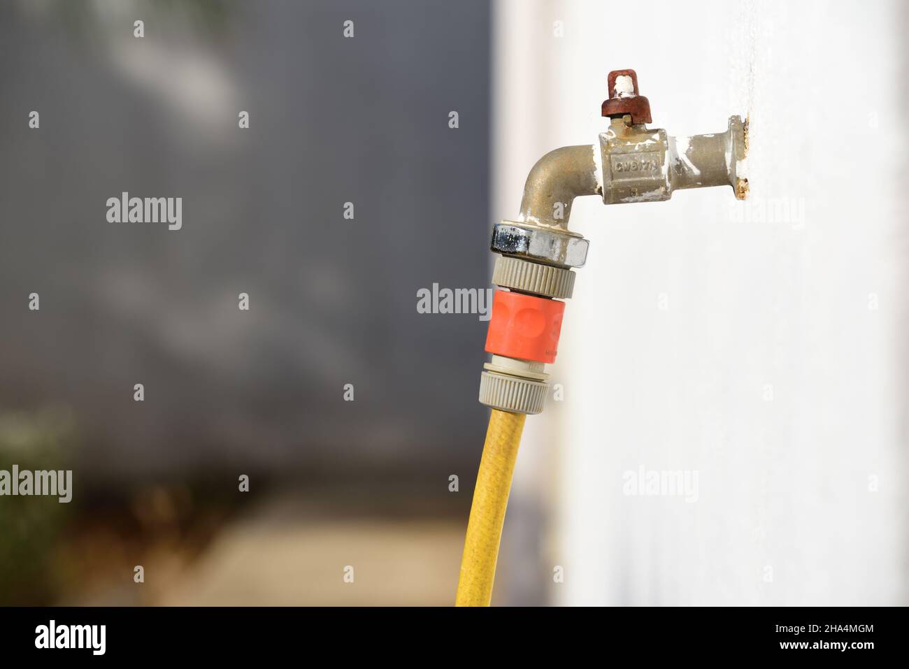 Un ancien tuyau d'arrosage est branché dans un vieux robinet qui dépasse  d'un mur blanc, à l'extérieur Photo Stock - Alamy