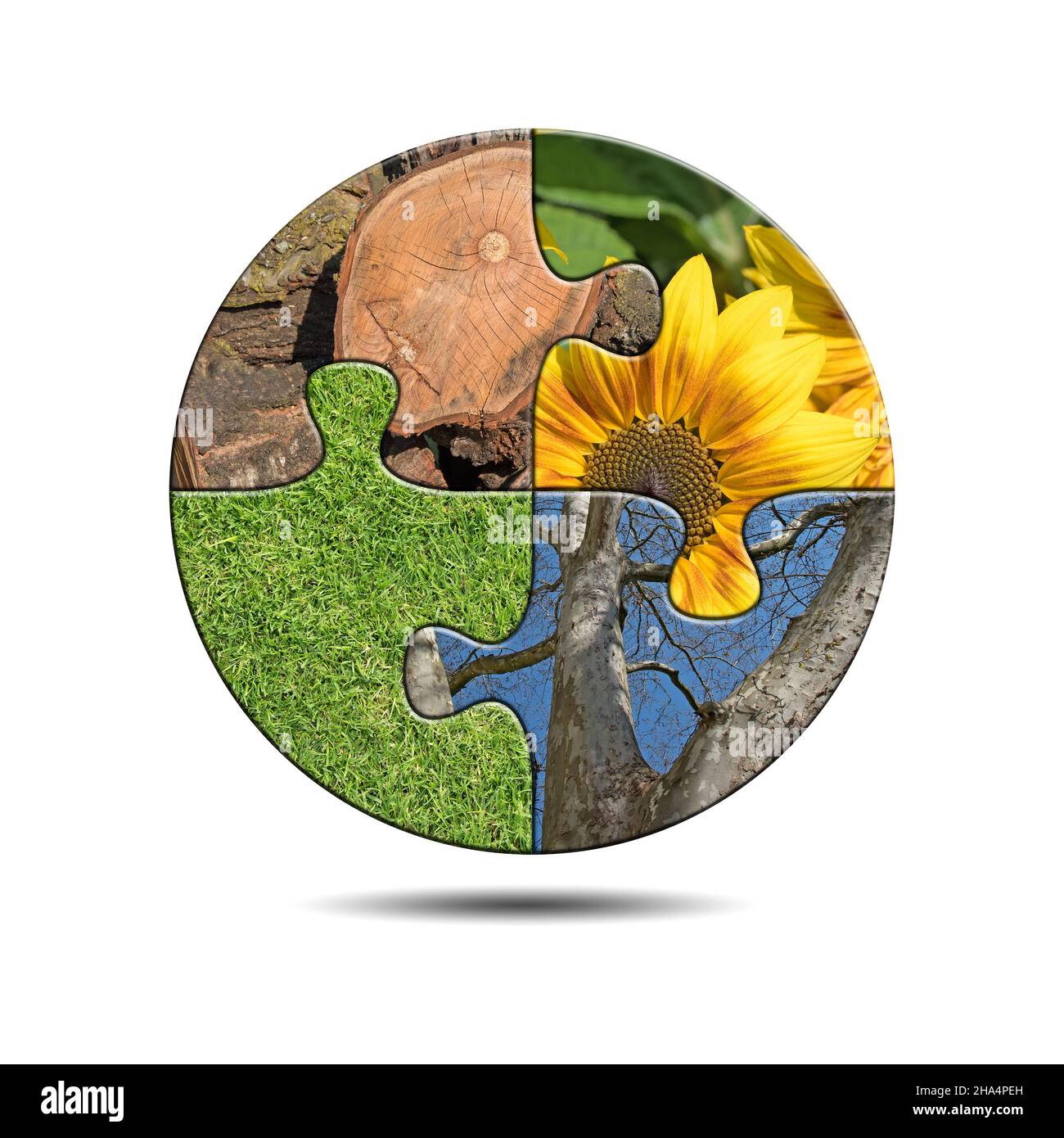 Puzzle rond avec motifs nature, illustration 3D Banque D'Images