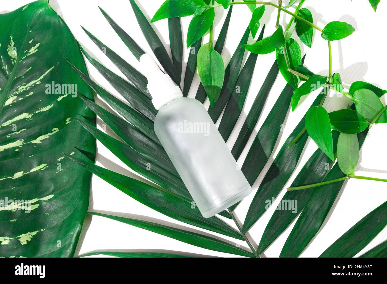 Compte-gouttes en verre avec capuchon blanc pour cosmétiques aux plantes exotiques.Maquette. Banque D'Images