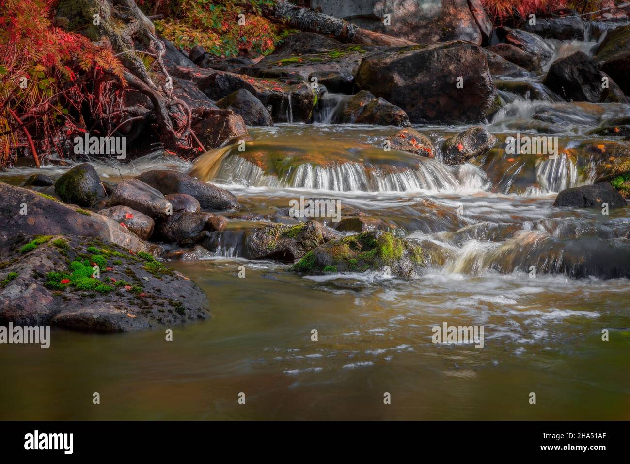 cascade roche automne paysage de rivière avec de la mousse et des feuilles qui tombent Banque D'Images