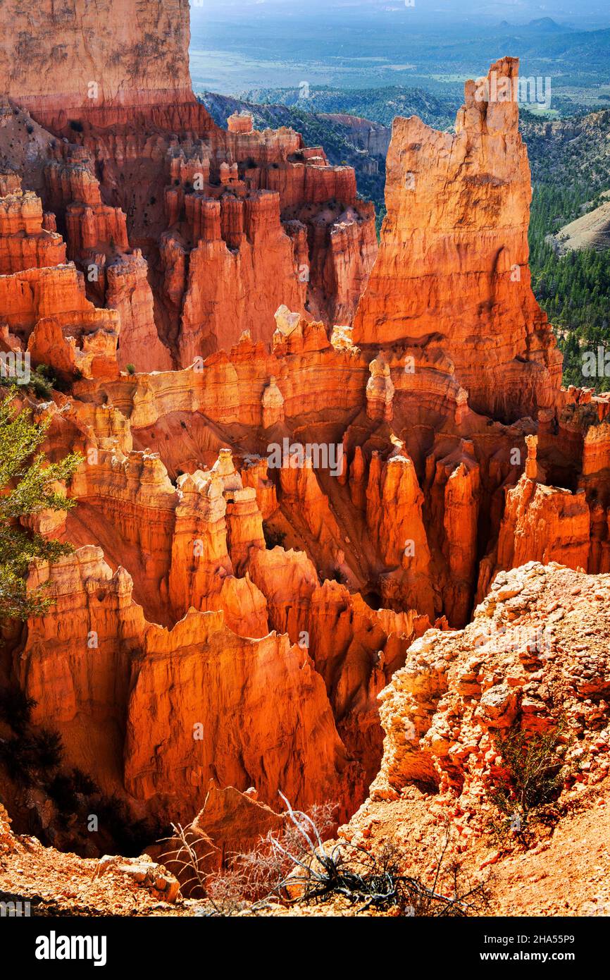 Paria View est un point de vue pittoresque qui surplombe un canyon rempli d'oodoos fascinants et colorés, le parc national de Bryce Canyon, Utah Banque D'Images